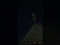 All Of The Monsters Are Out To Get Us In R.E.P.O! #steam #repo #trending #viral #gaming #scary #yt