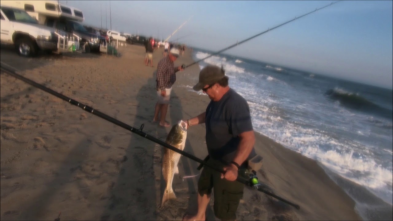 Catching Citation Red Drum Fishing Cape Point Hatteras NC Spring 2018