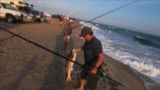 Catching Citation Red Drum Fishing Cape Point Hatteras NC Spring 2018