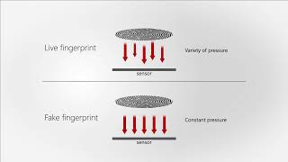 Live Finger Detection (LFD)Technology | Suprema