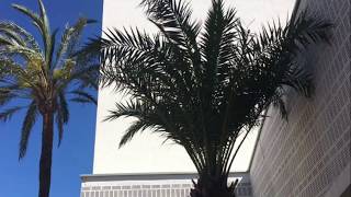 Hotel Od Talamanca Ibiza By Od Hotels