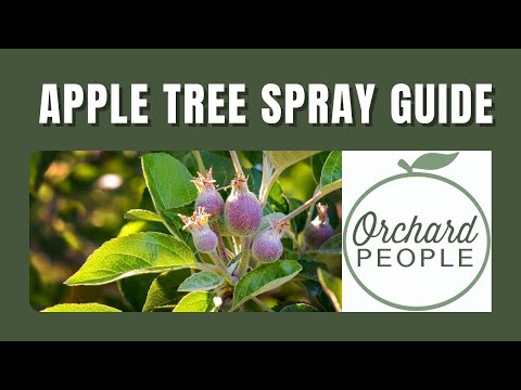 Organic Fruit Tree Spray Schedules and Apple Tree Spray Guide