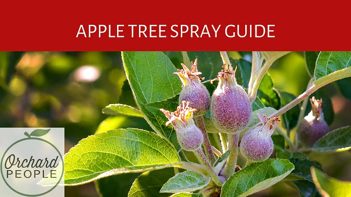 Guía de aerosoles orgánicos para árboles frutales