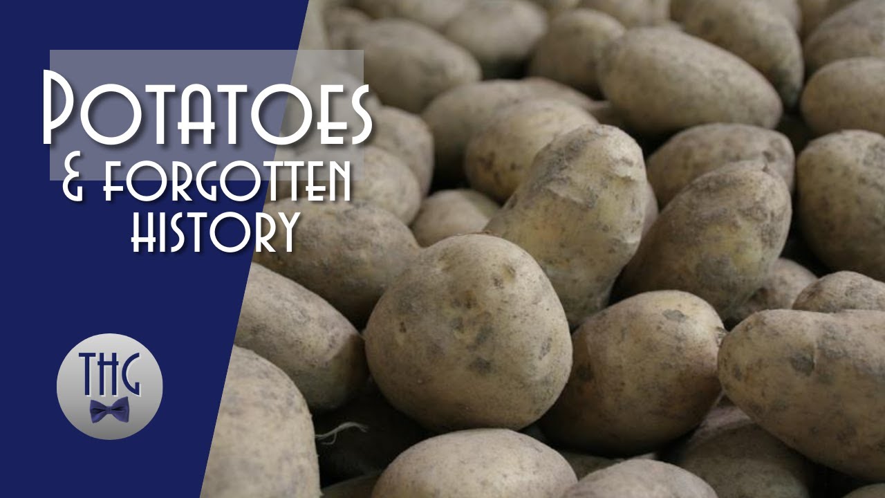 Potatoes and History | The History Guy: History Deserves to Be Remembered | 15:36 | 1.18M subscribers | 358K views | 2 years ago