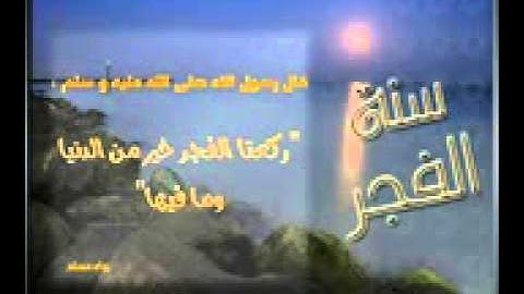 سنن الفجر مع قراءة سورة الفجر صالح المغامسي