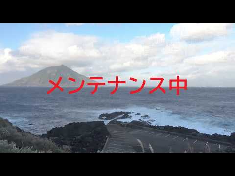 八丈島 ナズマド ホエールウォッチングカメラ のライブ映像