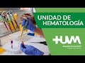 HUVM - Un Día en la Unidad de Hematología