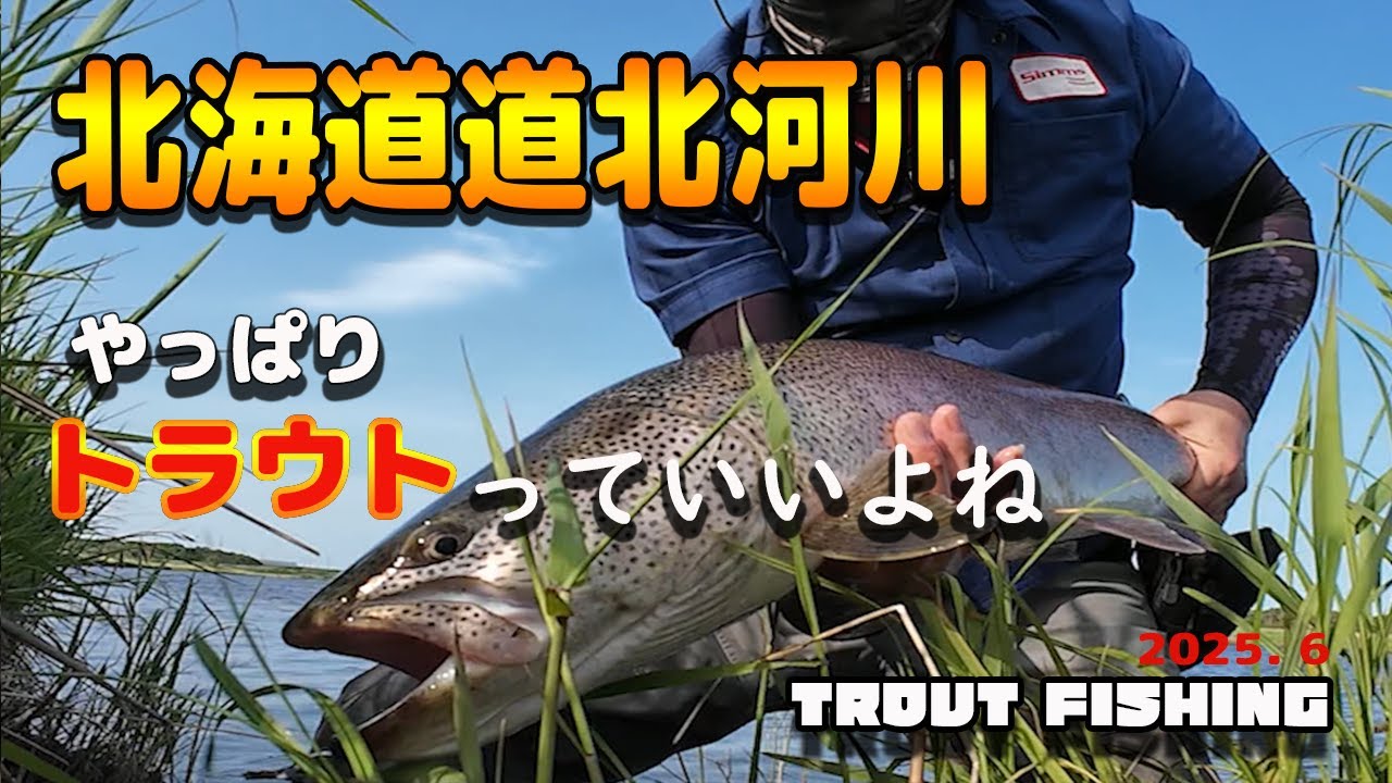 北海道道北河川　2025春　イトウを狙いに行ってきました。Fishing in Japan for the Elusive Ito – A Rare Native Monster  ＃イトウ　＃釣り