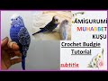 AMİGURUMİ MUHABBET KUŞU / AMİGURUMİ BİRD /AMİGURUMİ BUDGİE FREE PATTERN