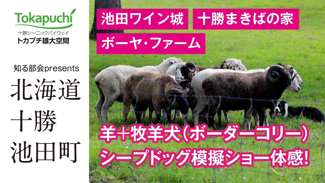 北海道十勝 池田町さんぽ Youtube