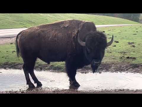 Https Music Apple Com Us Album Home On The Range 82517660 I 82516145