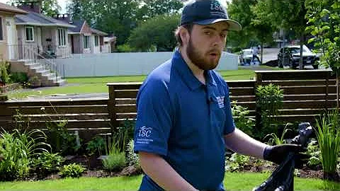 How to: dispose of invasive plants