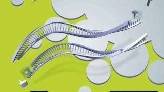 pcr en temps réel vs pcr