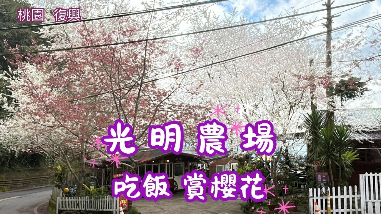 2026 -3 桃園 復興 光明農場 🍛餐廳吃飯 🌸賞櫻花