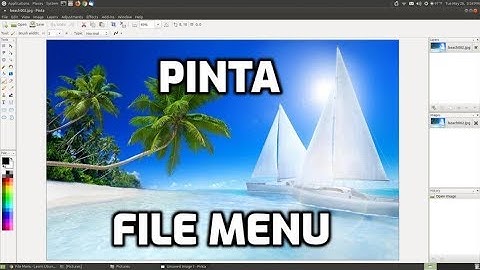 Pinta: File Menu