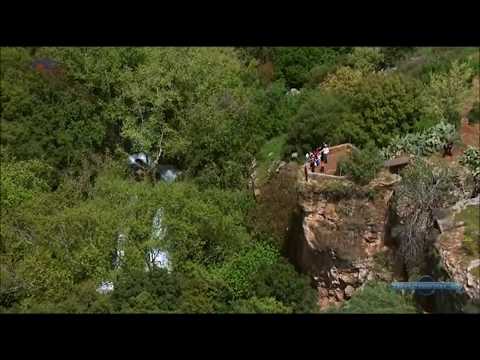 T. Kvitelashvili - Hava Nagila თ. ყვითელაშვილი - ჰავა ნაგილა