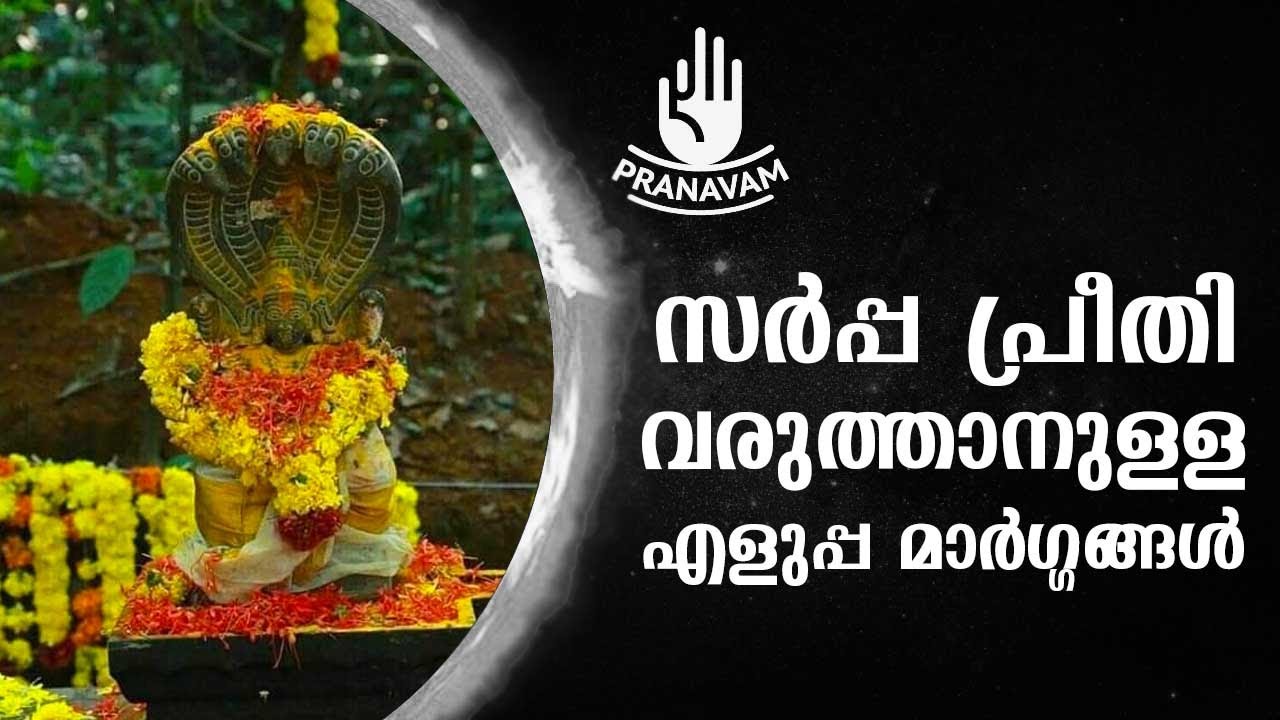 സർപ്പ പ്രീതി വരുത്താനുള്ള എളുപ്പ മാർഗ്ഗങ്ങൾ | Subhash Tantri | Pranavam | Kaumudy
