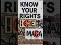 5 ICE Stop Survival Tips Every Immigrant Needs