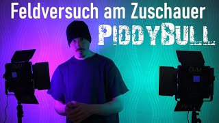 PiddyBull | Prolog: Nicht das 18. Video ... oder eine seltsame erste Testaufnahme^^