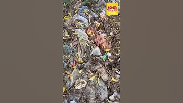 CHUNG TAY VÌ MỘT THẾ GIỚI SẠCH HƠN #thanhchuong #video #moitruong #each