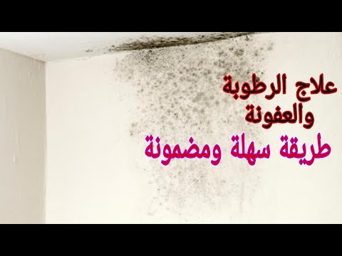 فيديو: كيف تتخلصين من الرطوبة الزائدة في شقة ومنزل خاص؟