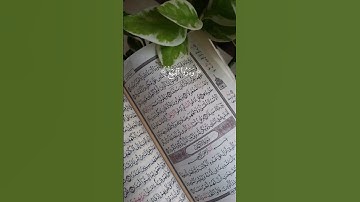 #سورة_الجمعة #مقاطع_دينية_قصيرة #ايات #قرآن #ياسر_الدوسري #صلو_على_النبي #قران #اكسبلور #دعاء_مستجاب