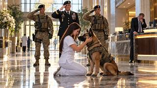 The Commander’s K9 Ignored Every Doctor — Then Sat at the Quiet Nurse’s Feet