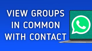 How To View Groups In Common With A Contact On WhatsApp App On PC (New Update) screenshot 4