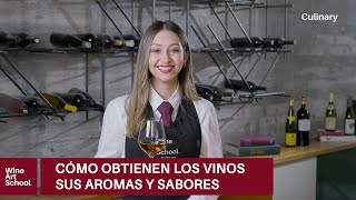 WAS - Cómo obtienen los vinos sus sabores y aromas