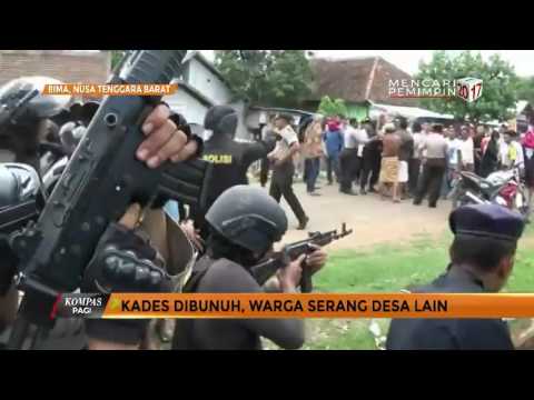 Video: Hewan yang mungkin tidak akan pernah kita lihat lagi