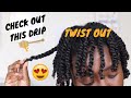 TWIST OUT On Wet Hair | NEW Creme of Nature Pure Honey Products