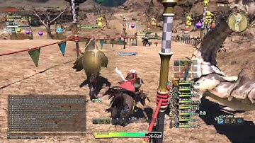 The Average Choco Race