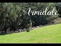 Vlog australia une armidale