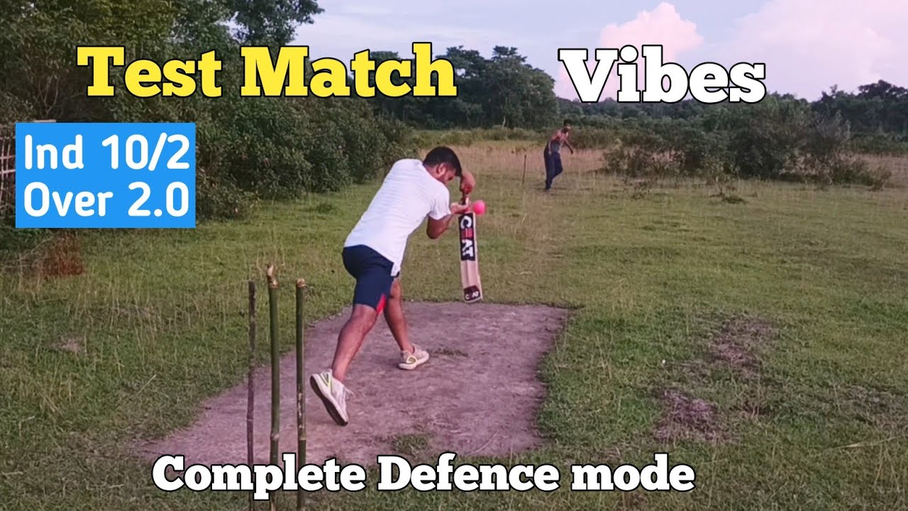 Backyard cricket Test match || Complete test match Vives 🔥🔥 |