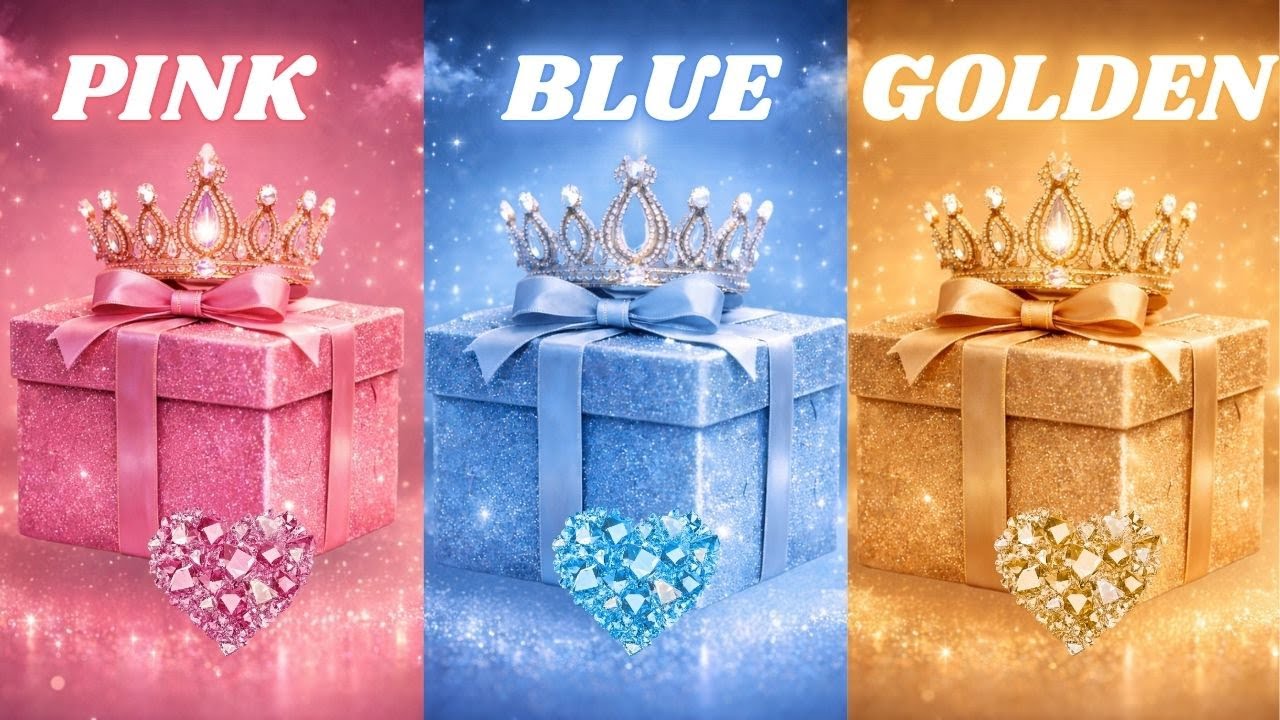 Top 3 Gift Box Options Every Shopper Needs to Know About ! 3 gift box ...