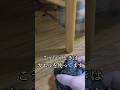 カエル使ってゴキブリ駆除