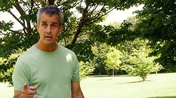 The truth about Flannel Timpani Mallets.