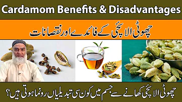 Benefits-Disadvantages Of Cardamom Urdu |Choti Elaichi Ke Fayde Aur Nuksan |Al-Razaqi Health Recover