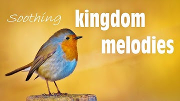 JW Songs & Kingdom Melodies - beautiful (flute) music