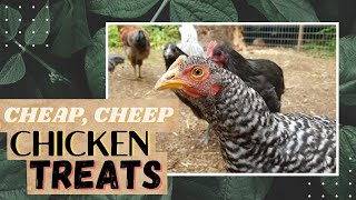WHAT TO FEED BACKYARD CHICKENS?? | What do CHICKENS Like to EAT?? | Budget Chicken Treats What To Feed Chickens Backyard Chickens Bread Crumbs Vs Veggies