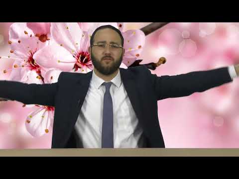 כלה וחמותה | שלום בית | הרב יוחאי אוחיון