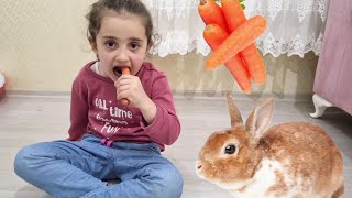 Sen Nasil Bi̇r Tavşansin ‼️ Evde Havuç Birakmadin Be ‼️
