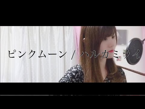 【ピンクムーン / ハルカミライ】coverd by 汐音 (弾き語り)