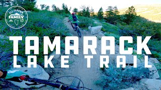 Tamarack Lake Trail Reno/ Lake Tahoe, Nevada