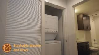 Market City Center Apartment Tour