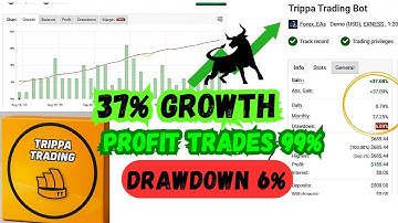 AI-Powered Forex Trading Bot | Trippa AI for MetaTrader #TrippaAI #AITrading #ForexBot #MT4