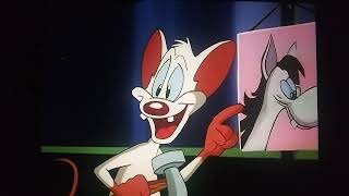 Pinky & The Brain Ending Remix 7