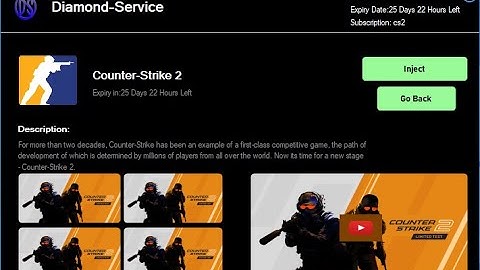 Cheat Loader for your cheats | c# winform cheat loader animated source in discription