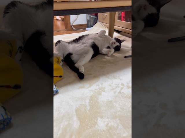 寝ているので、笑わないでください