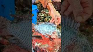 Perfect size Tailapia fish cutting skills in Bangladesh fish market